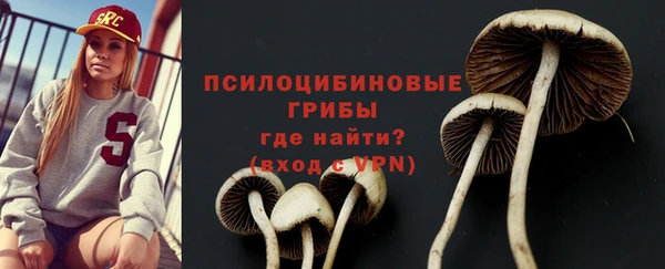 дмт Магас