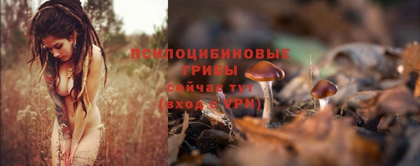 скорость Нижневартовск