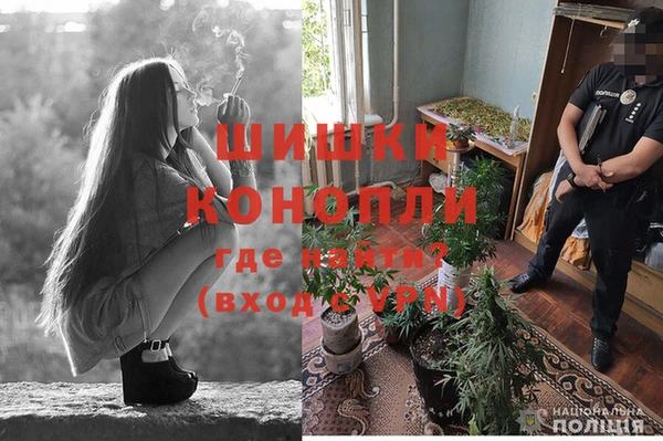 не бодяженный Кострома