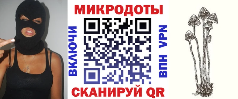 Купить закладки  Карабаново  Галлюциногенные грибы прущие грибы 